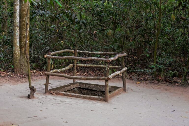 Cu Chi tunnel entrance bordered by wooden railings beneath trees in a forest