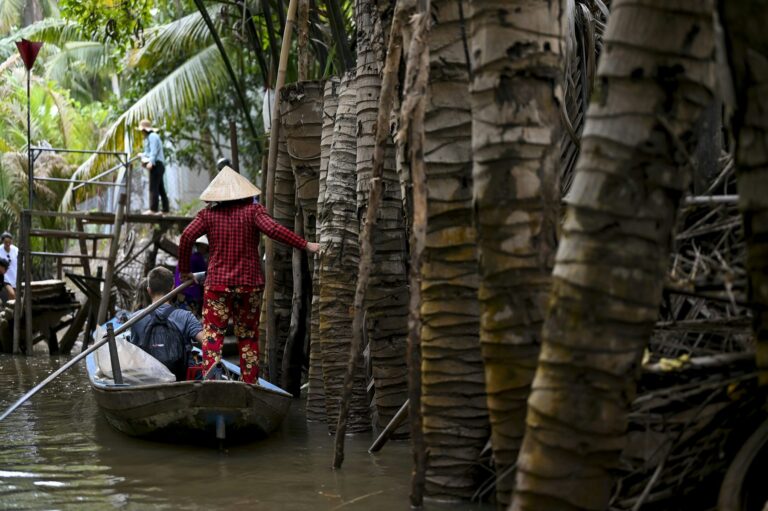 Person wearing a conical hat navigating a small wooden boat beside palm trunks